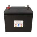 AGM Batterie 12V 24Ah für Rasenmäher Rasentraktor LS U1R-280 SLA