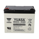 Yuasa Lead-acid battery rec36-12i Pb 12v / 36Ah cycle-proof, m5 internal thread