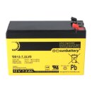 Ersatzakku für Brandmeldezentrale Bosch FPC-500 GLT 2 x AGM Batterie 12V 7,2Ah mit VdS