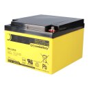 Ersatzakku für Brandmeldezentrale Esser Honeywell IQ8Control M 2 x AGM Batterie 12V 24Ah mit VdS