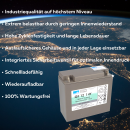 Exide Sonnenschein GF 12 014 Y F dryfit Blei Gel Antriebsbatterie 12V 14Ah (5h) VRLA