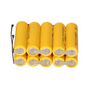 Akku kompatibel 10N850 R2SL 12V 800mAh für RWA Anlage